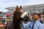250823-Race 1-Marhaba The Champ-0205