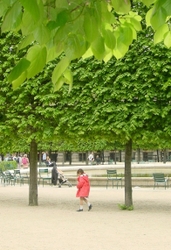 Paris portfolio
