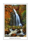 MORIALTA FALLS.