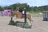 BPP_8289