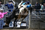 Ty Zofchec_DSC2605