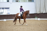 SBM_003240
