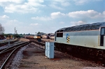 19th April 1989