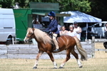 WJ7_3396