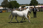 SBM_06772