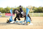 SBM_000178