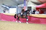 SBM_06365