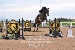 BPP_3610