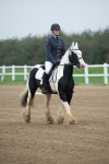 SBM_003358
