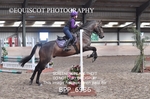 BPP_6936