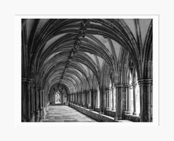Cloister,Norwich Catherdral  (2008/5113)