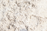 250420A-102340-00342
