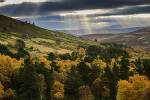 Cairngorms N P, Scotland