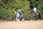 WJ6_7794