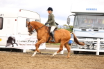 SBM_00613