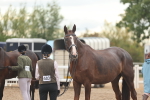 SBM_07764