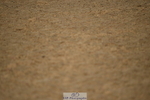 230409A-102630-00270