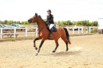 SBM_006198