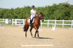 SBM_009595