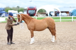 SBM_01219