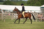 SBM_09706