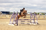 SBM_004884
