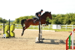 SBM_003361