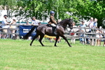 SBM_15398