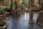 Autumn along the Brook - 3