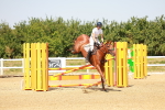SBM_002230