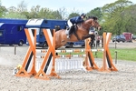 BPP_4733