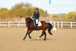 SBM_009262