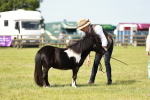 SBM_01914