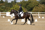 SBM_022596