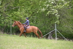 WJ6_1617