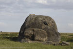 Lionness on a rock!