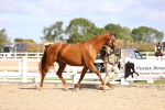 SBM_11493