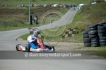 Alderney Sprint_2011_Kart-8