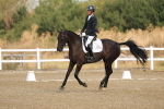 SBM_008450