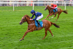 260725-Race 1-Golden Palace-7112