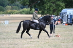 WJ7_6133