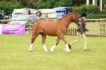 SBM_10369