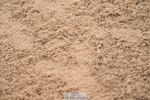 240720A-102316-13657