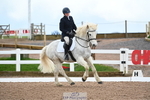 Unaffiliated Dressage = Click to View portfolio