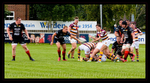 Fylde Rugby 2017-9