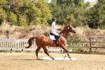 SBM_001342