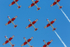 Swiss Aero Team