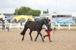 SBM_07876