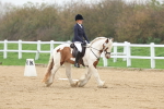SBM_000665