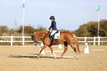 SBM_009082